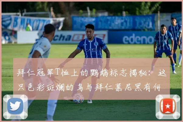 拜仁冠军T恤上的鹦鹉标志揭秘：这只色彩斑斓的鸟与拜仁慕尼黑有何深厚渊源？