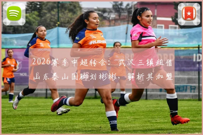 2026赛季中超转会:武汉三镇租借山东泰山国脚刘彬彬,解析其加盟影响与球队战术变化